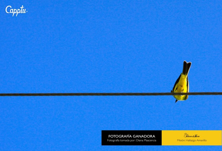 18954689_1921904924748289_6356519171273940935_o