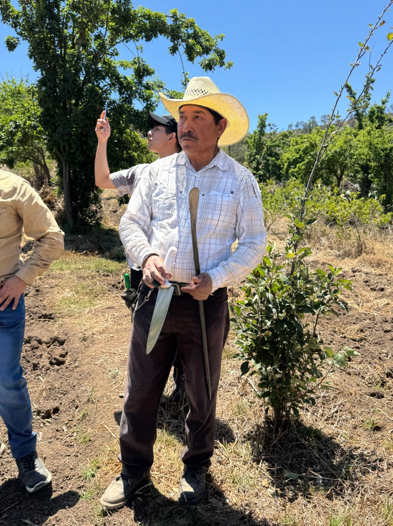 Los hallazgos preliminares sugieren que el maguey es concebido como un ser con características humanas: biografía, voluntad y agencia, cuya vida es aprovechada ritualmente para el sustento humano, configurando un sistema biocultural análogo y complementario a la milpa.